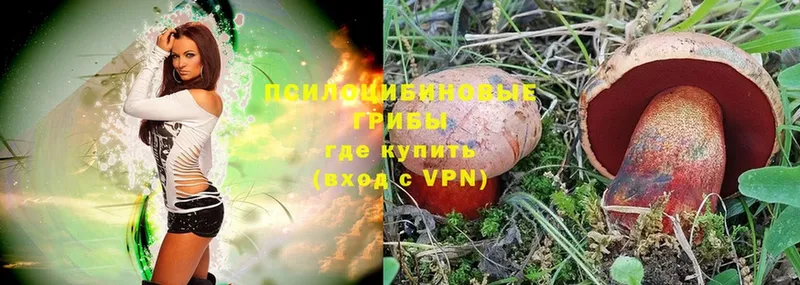 Псилоцибиновые грибы Magic Shrooms  Волчанск 